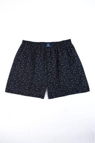 Boxer